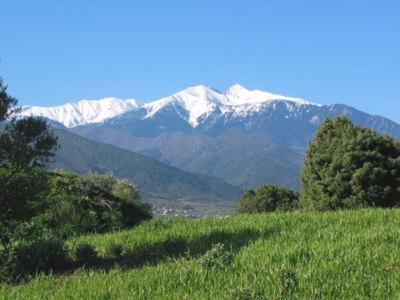 Appartement Centre Ville Du Boulou Pour 2 Adultes-2 Enfants- Check In 17H-21H--Juillet-Aout Reservation De 7 Jours Mini Le Boulou Bagian luar foto